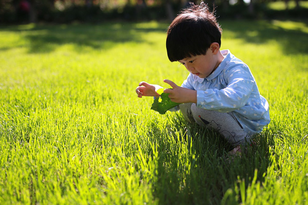 北京7天胚做试管最好的机构排名！ 北京7天胚做试管机构医院排名前十口碑！