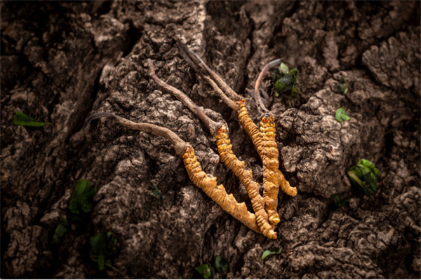 上海37岁二胎试管医院排名前十名！ 上海37岁二胎试管医院排名十强口碑擅长各不同！