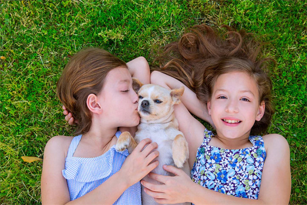 上海38岁试管医院排行榜来啦！上海坤和助孕医院和上海国际和平妇幼保健医院等哪个医院较好？