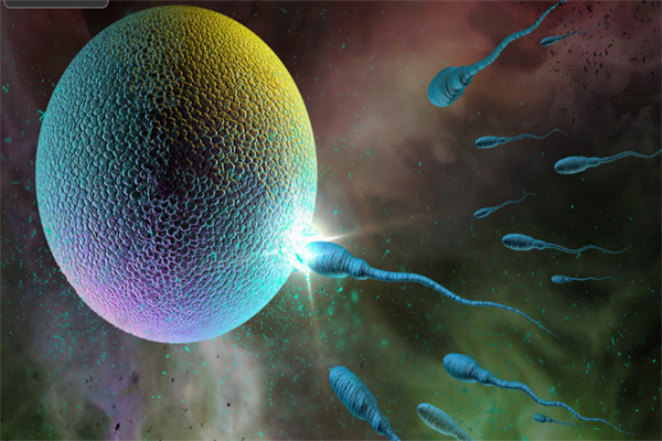 上海重度死精试管前五医院排名！上海交通大学医学院附属瑞金医院和上海仁济医院等新版价格表优惠一览！